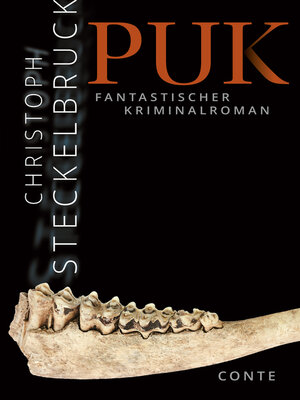 cover image of Puk